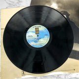 Joni Mitchell – Hejira [VINYL LP] 1976 • Asylum Records