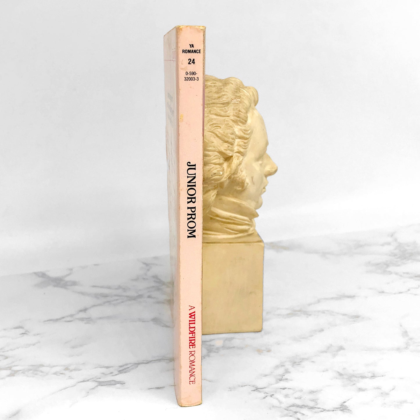 Junior Prom by Patricia Aks [1982 PAPERBACK] Wildfire #32