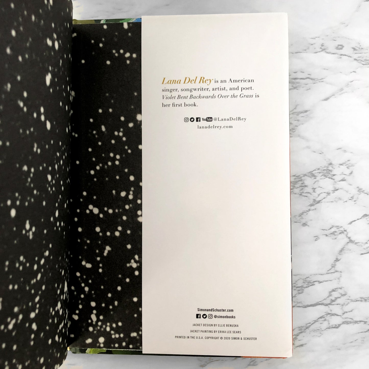 Violent Bent Backwards Over the Grass by Lana Del Rey [FIRST EDITION]