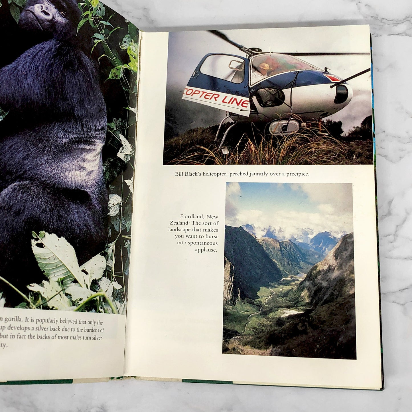 Last Chance to See by Douglas Adams & Mark Carwardine [FIRST EDITION / FIRST PRINTING] 1991