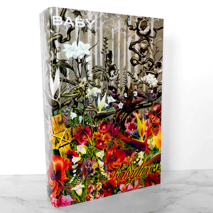 Lisey's Story by Stephen King [2006 HARDCOVER]