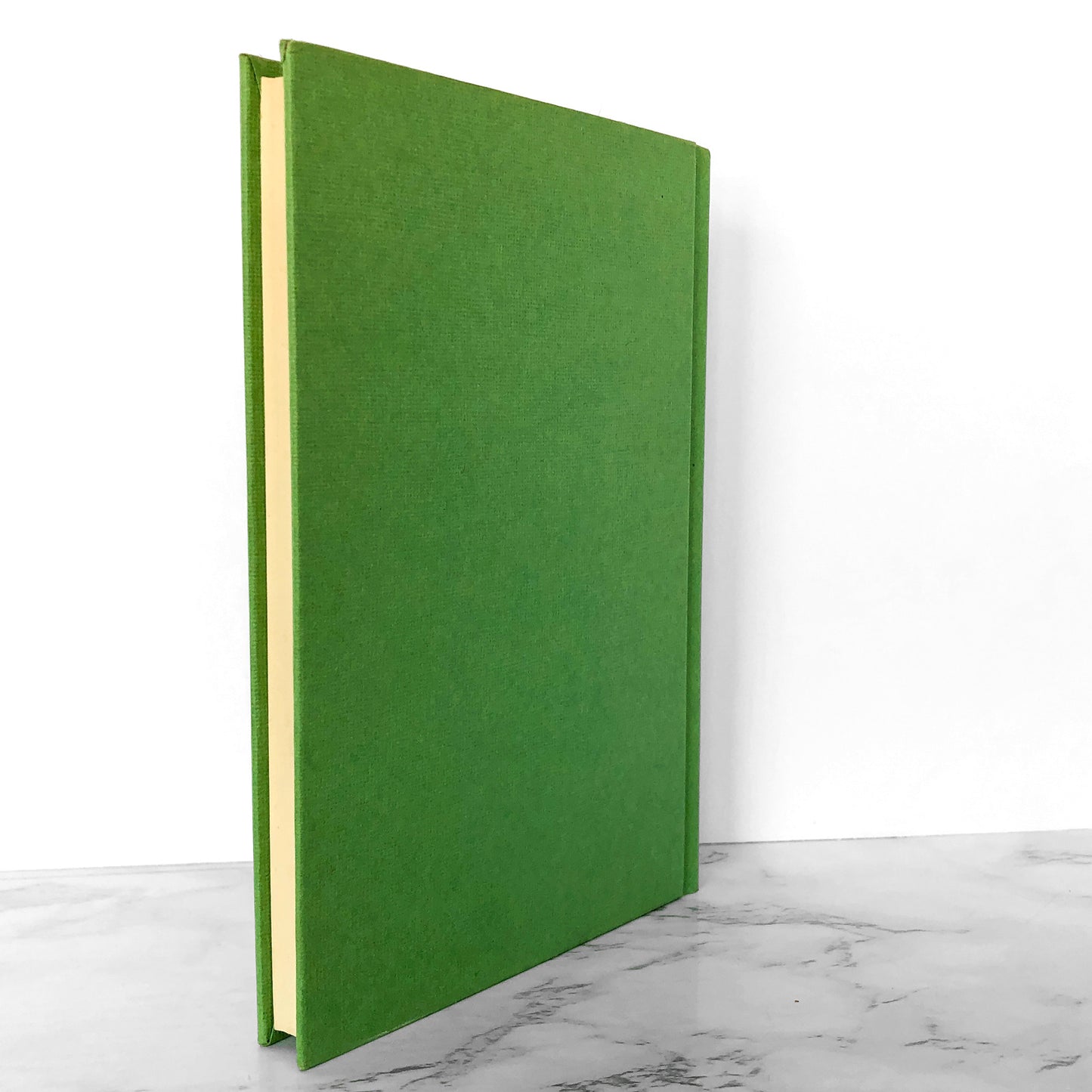 The Lively Ghosts of Ireland by Hans Holzer [FIRST EDITION] 1967 • Bell Publishing