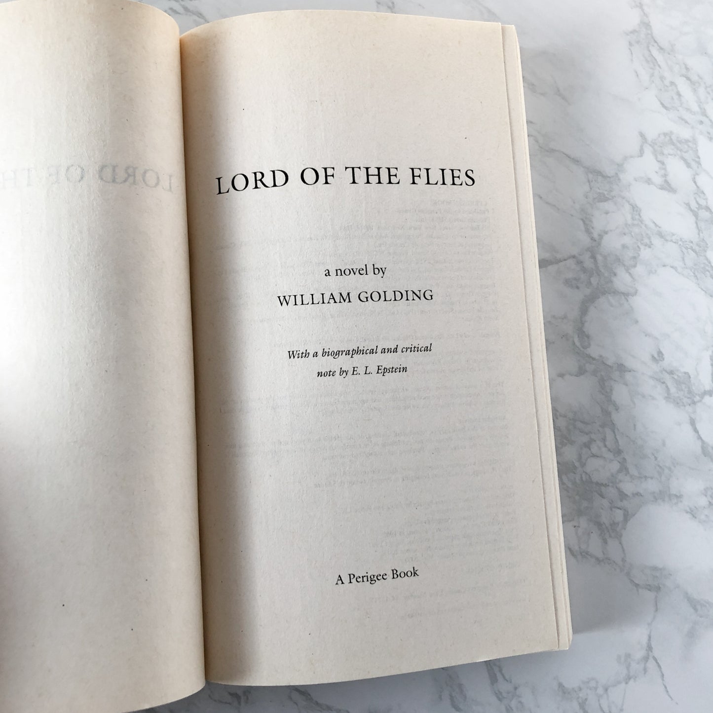 Lord of the Flies by William Golding - Bookshop Apocalypse