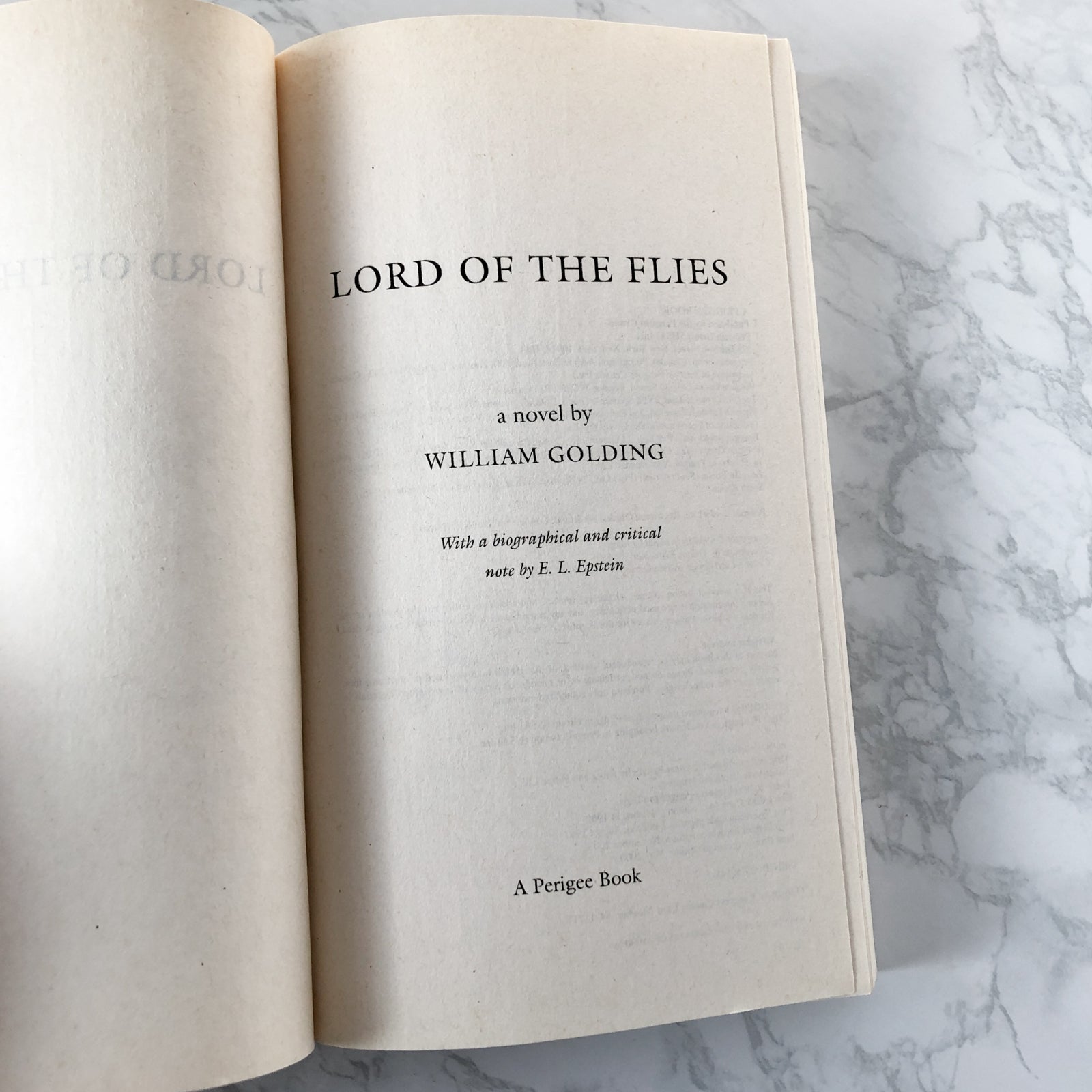 Lord of the Flies by William Golding - Bookshop Apocalypse