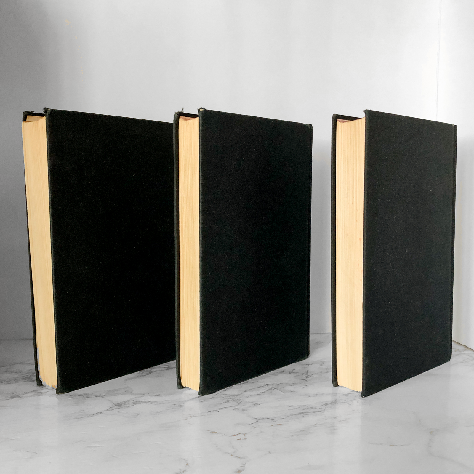 The Lord of the Rings Trilogy by JRR Tolkien [1965 HARDCOVER BOX SET] - Bookshop Apocalypse