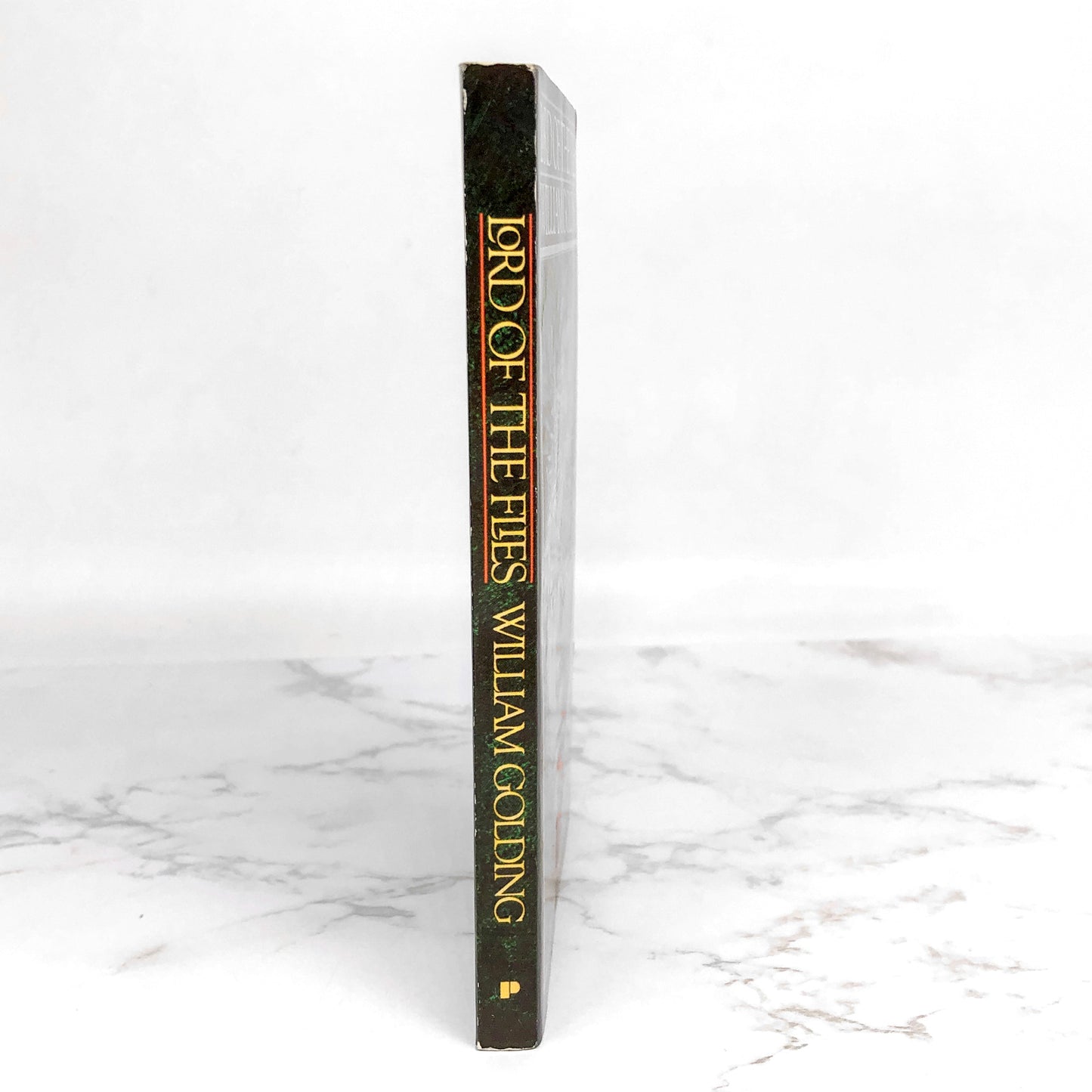 Lord of the Flies by William Golding [PAPERBACK RE-PRINT]