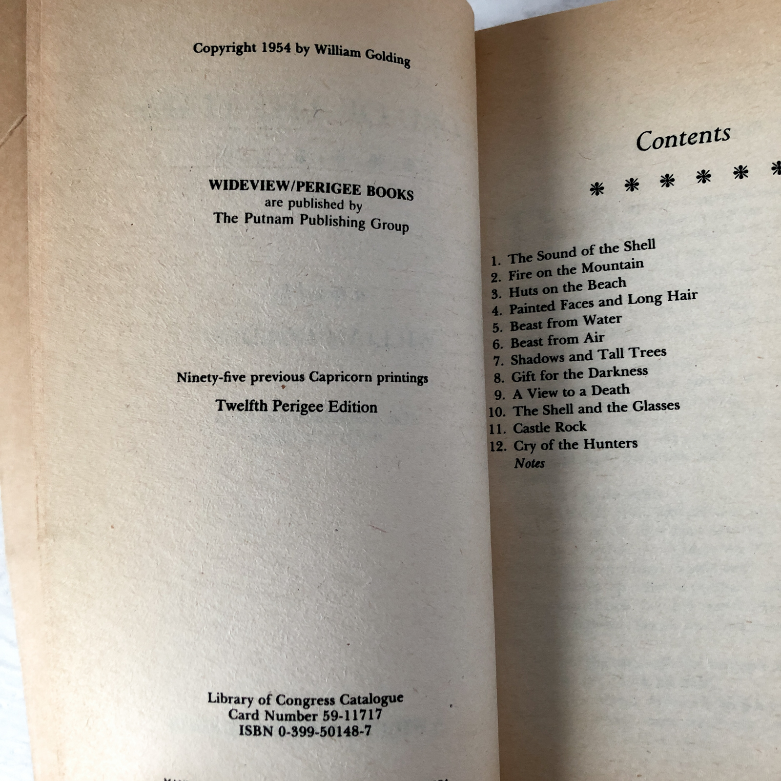 Lord of the Flies by William Golding - Bookshop Apocalypse