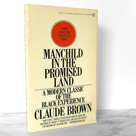 Manchild in the Promised Land by Claude Brown [1965 PAPERBACK]