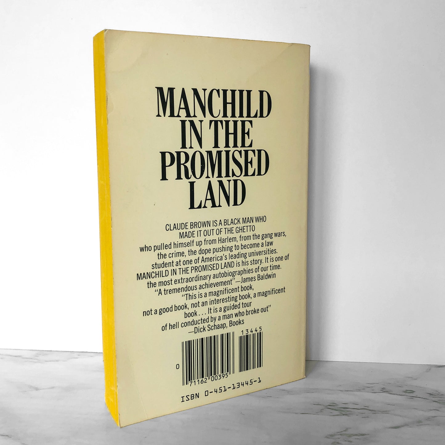 Manchild in the Promised Land by Claude Brown [1965 PAPERBACK]