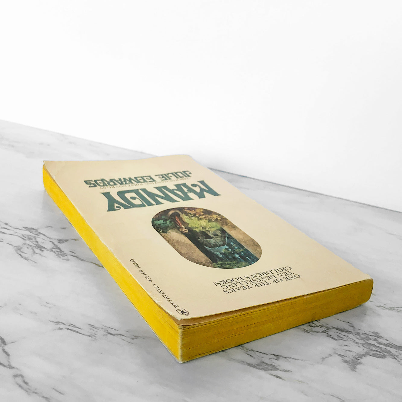 Mandy by Julie Andrews Edwards [FIRST PAPERBACK PRINTING / 1973]