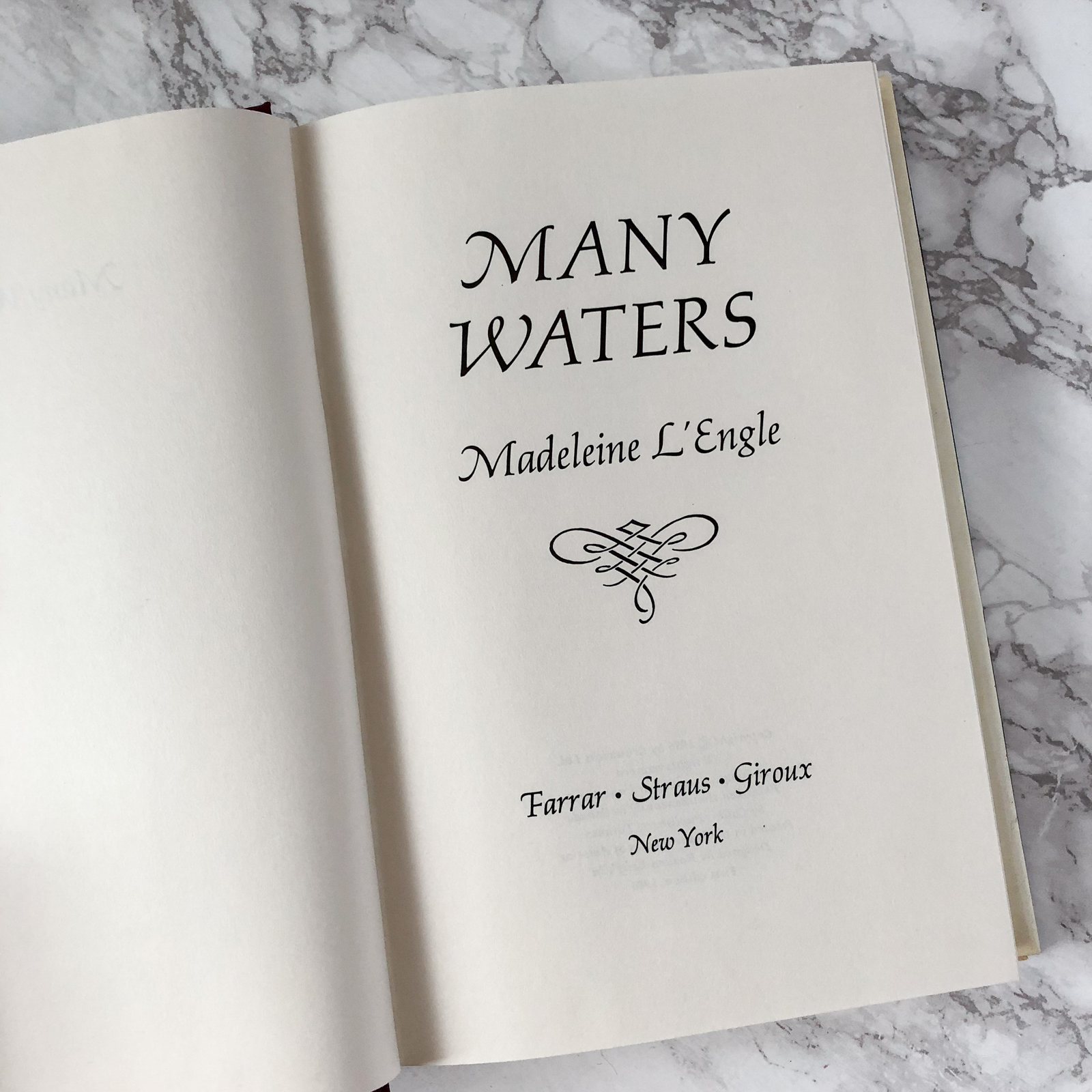 Many Waters by Madeleine L'Engle [FIRST EDITION / 1986] - Bookshop Apocalypse
