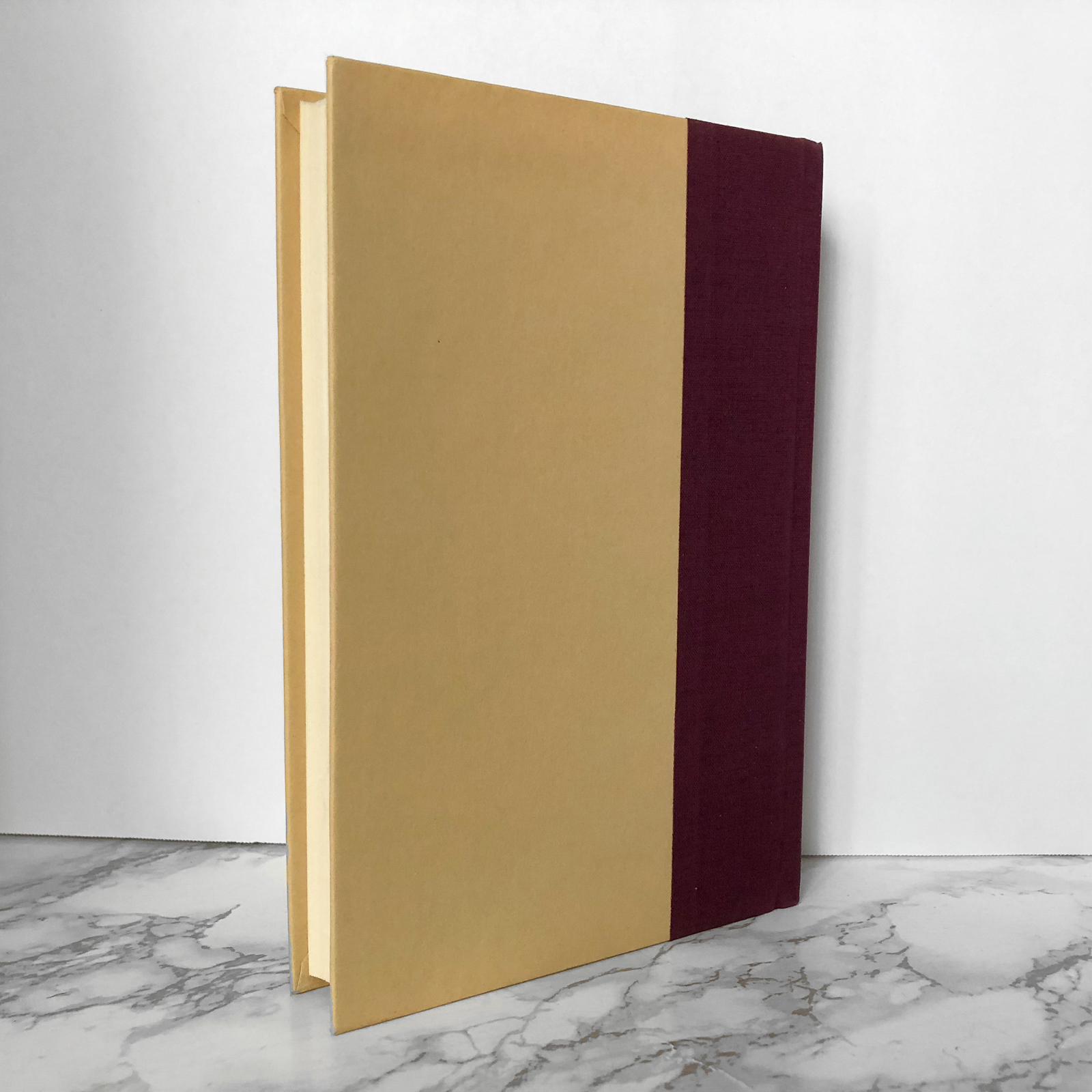 Many Waters by Madeleine L'Engle [FIRST EDITION / 1986] - Bookshop Apocalypse