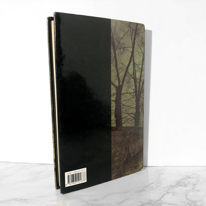 The Mist in the Mirror by Susan Hill [U.K. FIRST EDITION] - Bookshop Apocalypse