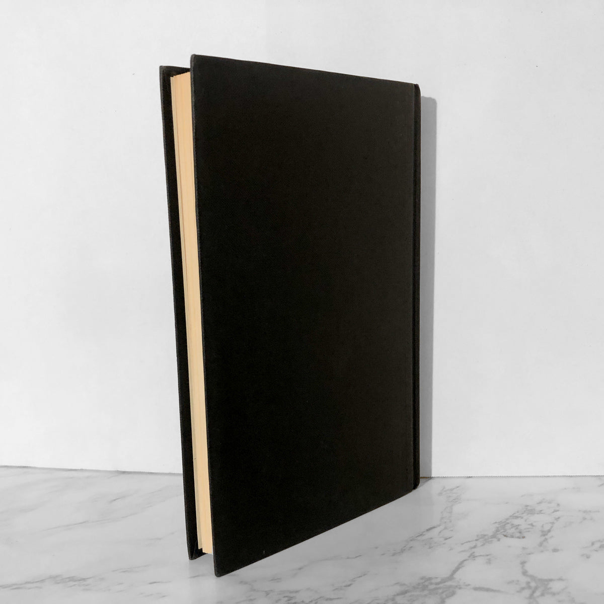 The Mist in the Mirror by Susan Hill [U.K. FIRST EDITION] - Bookshop Apocalypse