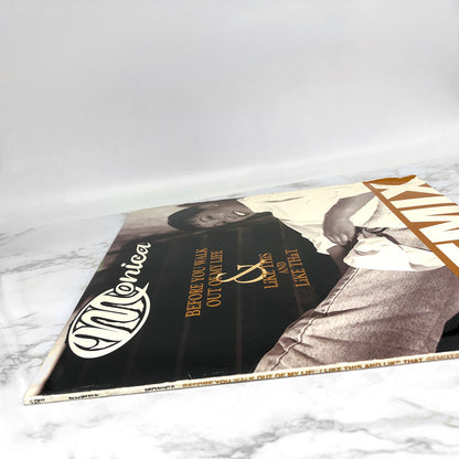 Monica – Before You Walk Out Of My Life / Like This & Like That REMIX [12" VINYL] 1995 • Rowdy Records