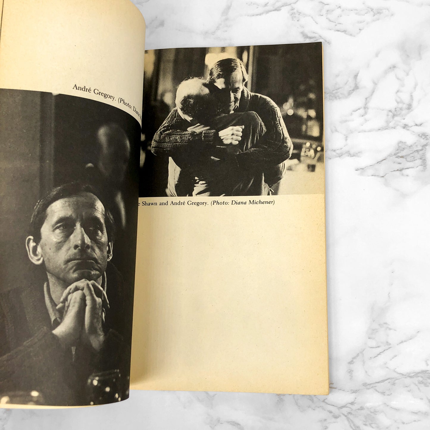 My Dinner With André by Wallace Shawn & André Gregory [FIRST EDITION PAPERBACK] 1981