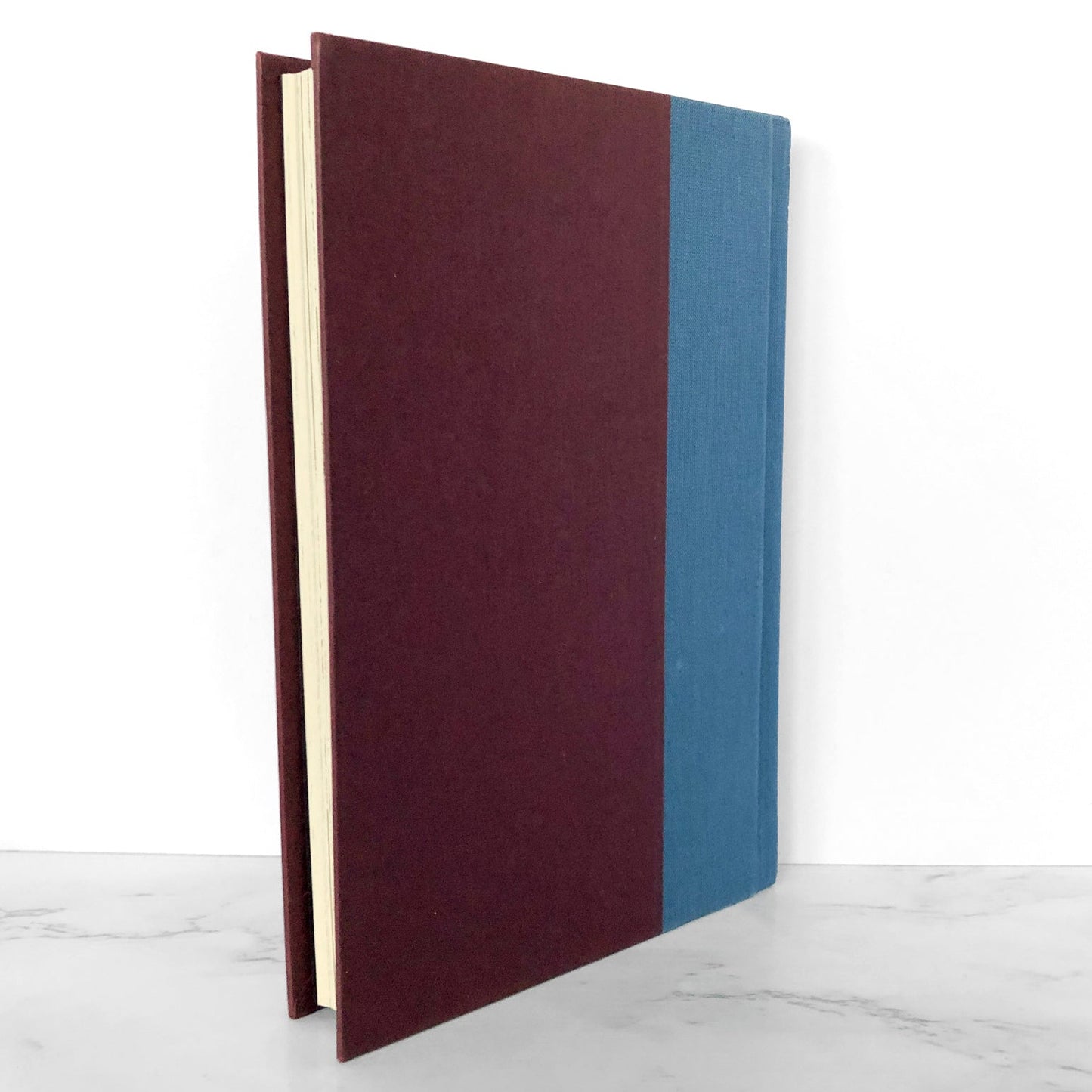 The Mystery of the Cupboard by Lynne Reid Banks [FIRST EDITION] 1993