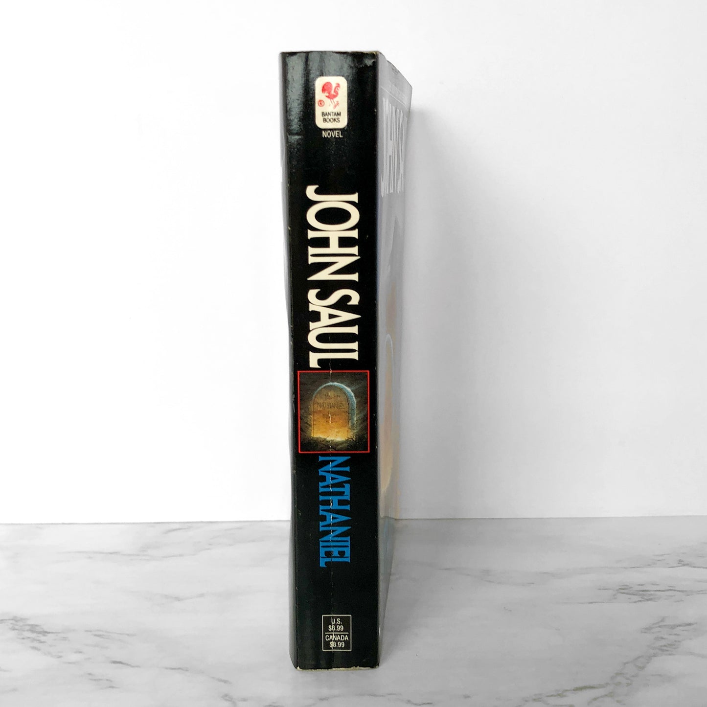 Nathaniel by John Saul [1984 PAPERBACK]