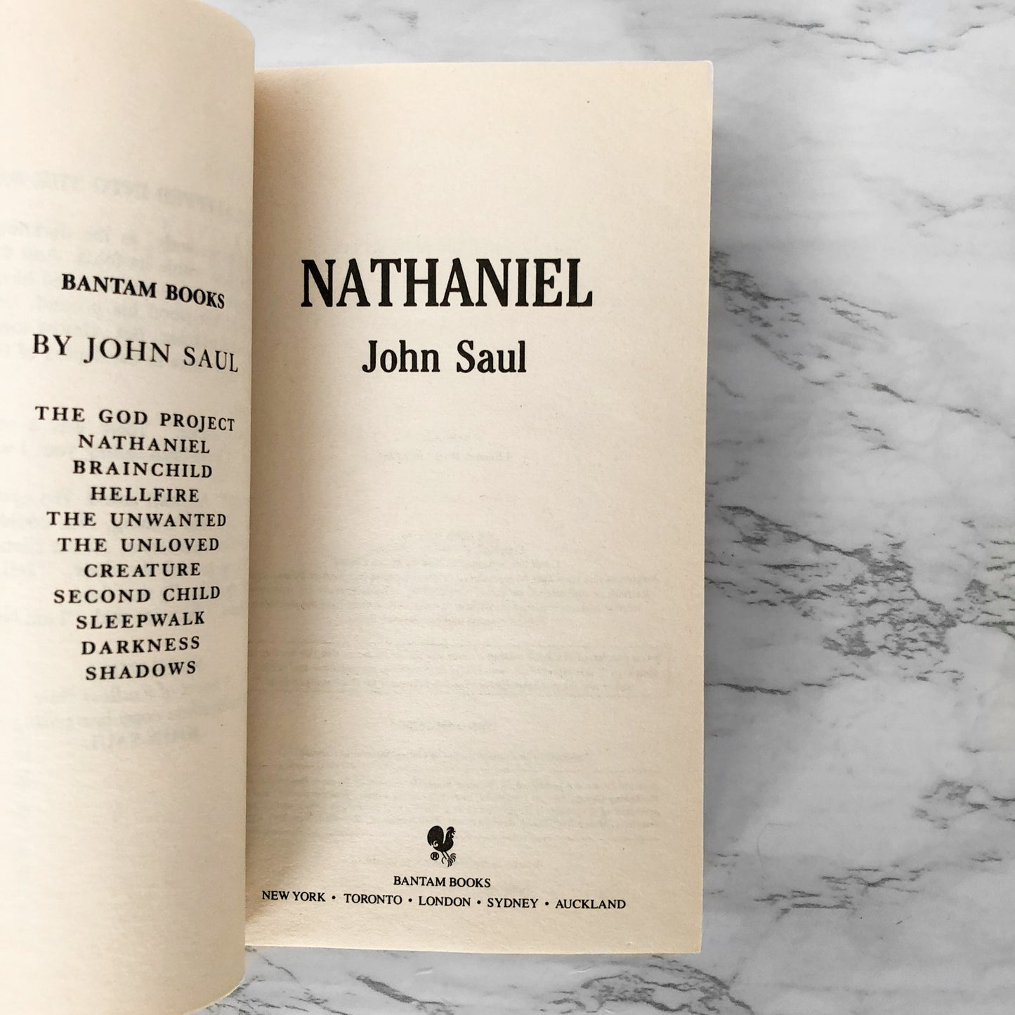 Nathaniel by John Saul [1984 PAPERBACK]