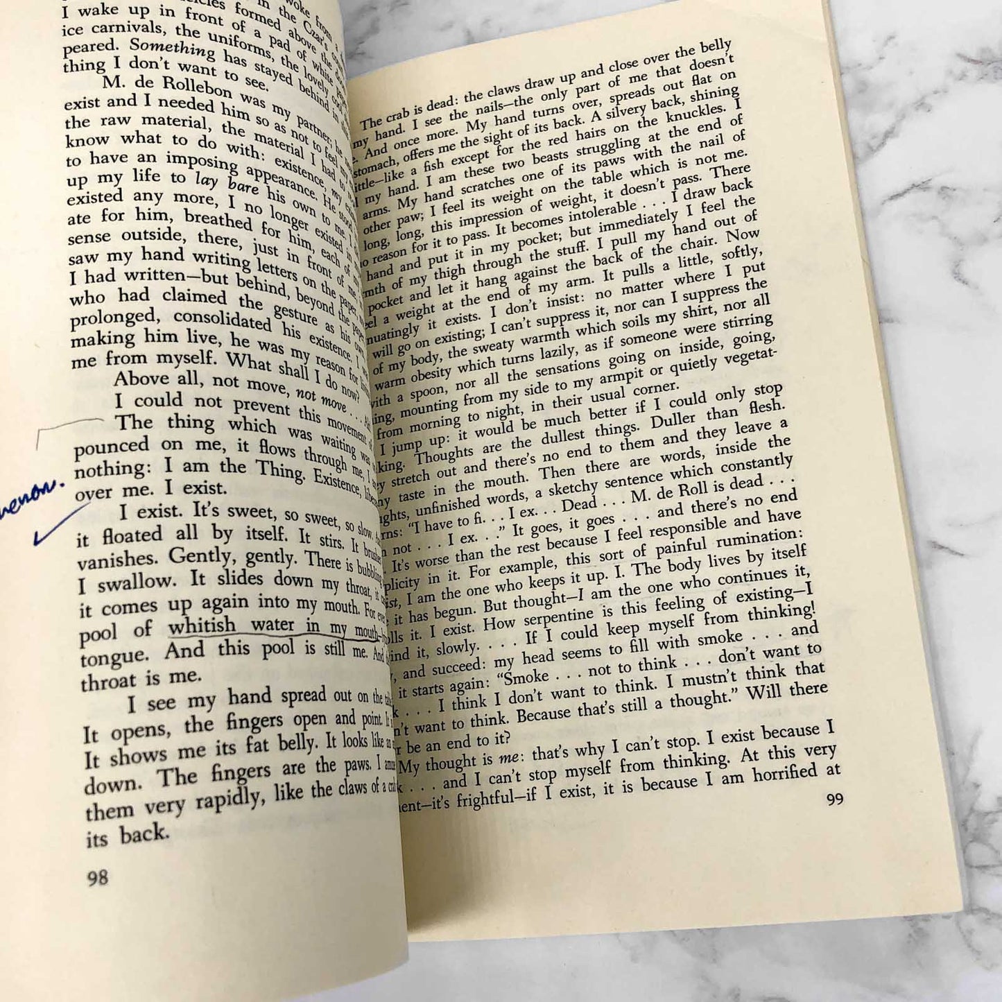 Nausea by Jean-Paul Sartre [VINTAGE TRADE PAPERBACK]