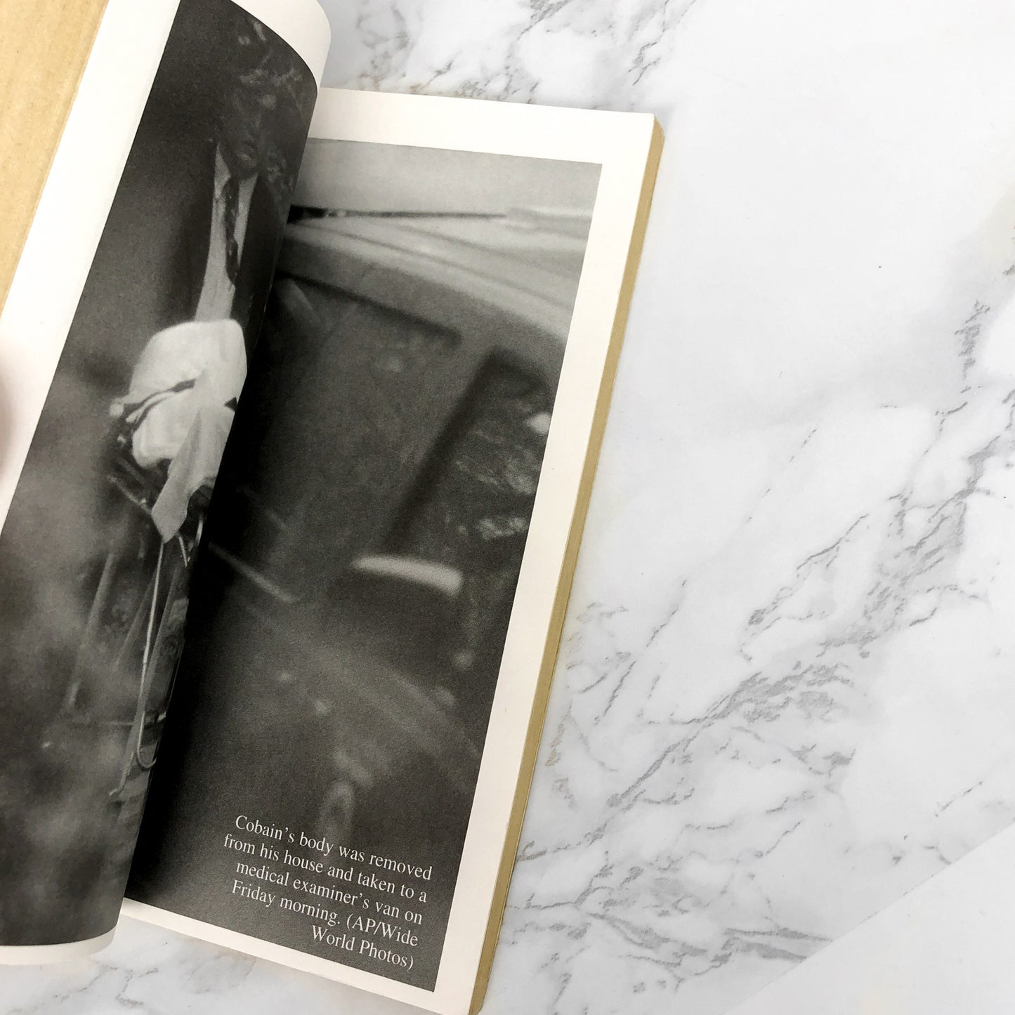 Never Fade Away: The Kurt Cobain Story by Dave Thompson [FIRST EDITION PAPERBACK] 1994