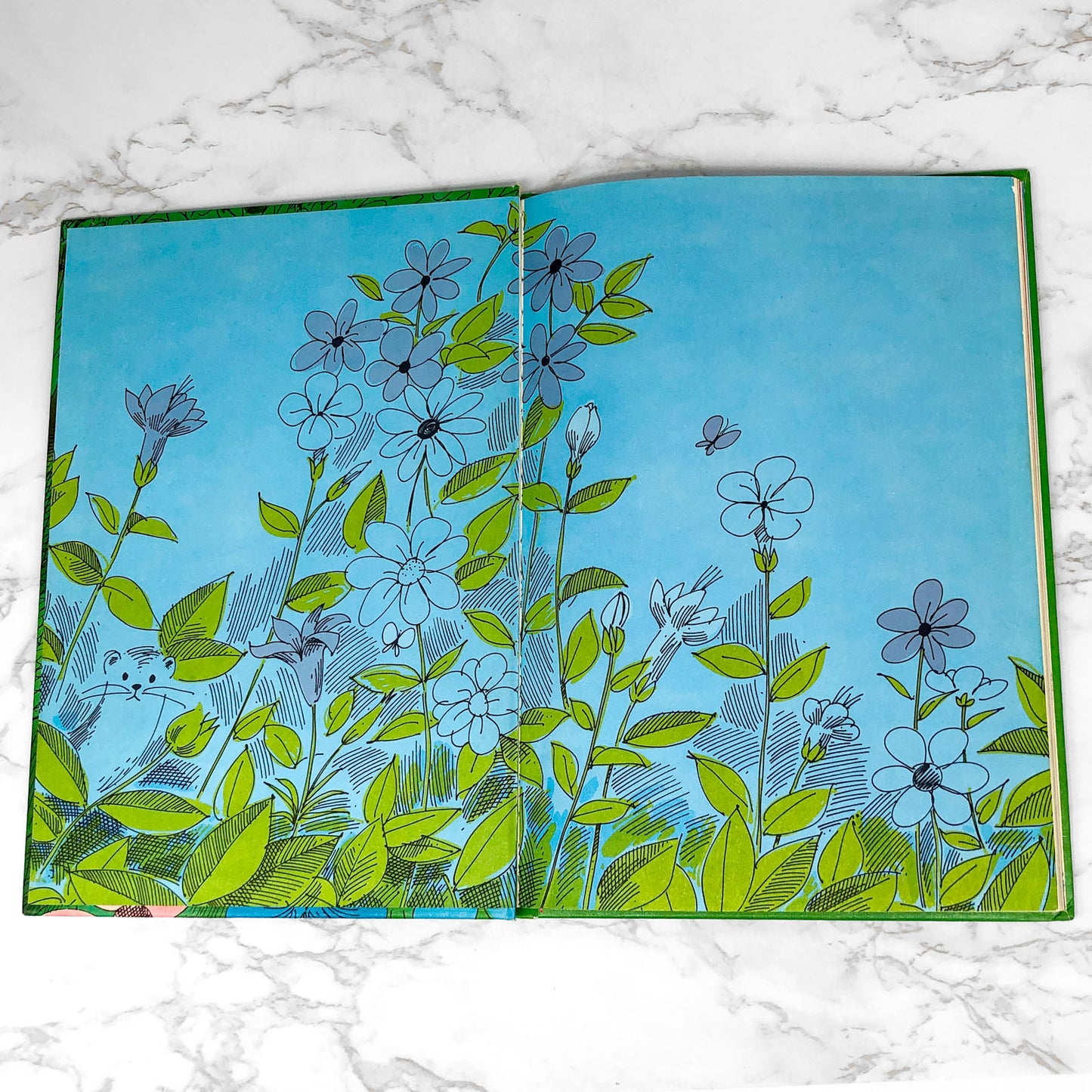 Never Tease A Weasel by Jean Conder Soule & Denman Hampson [FIRST EDITION] 1964