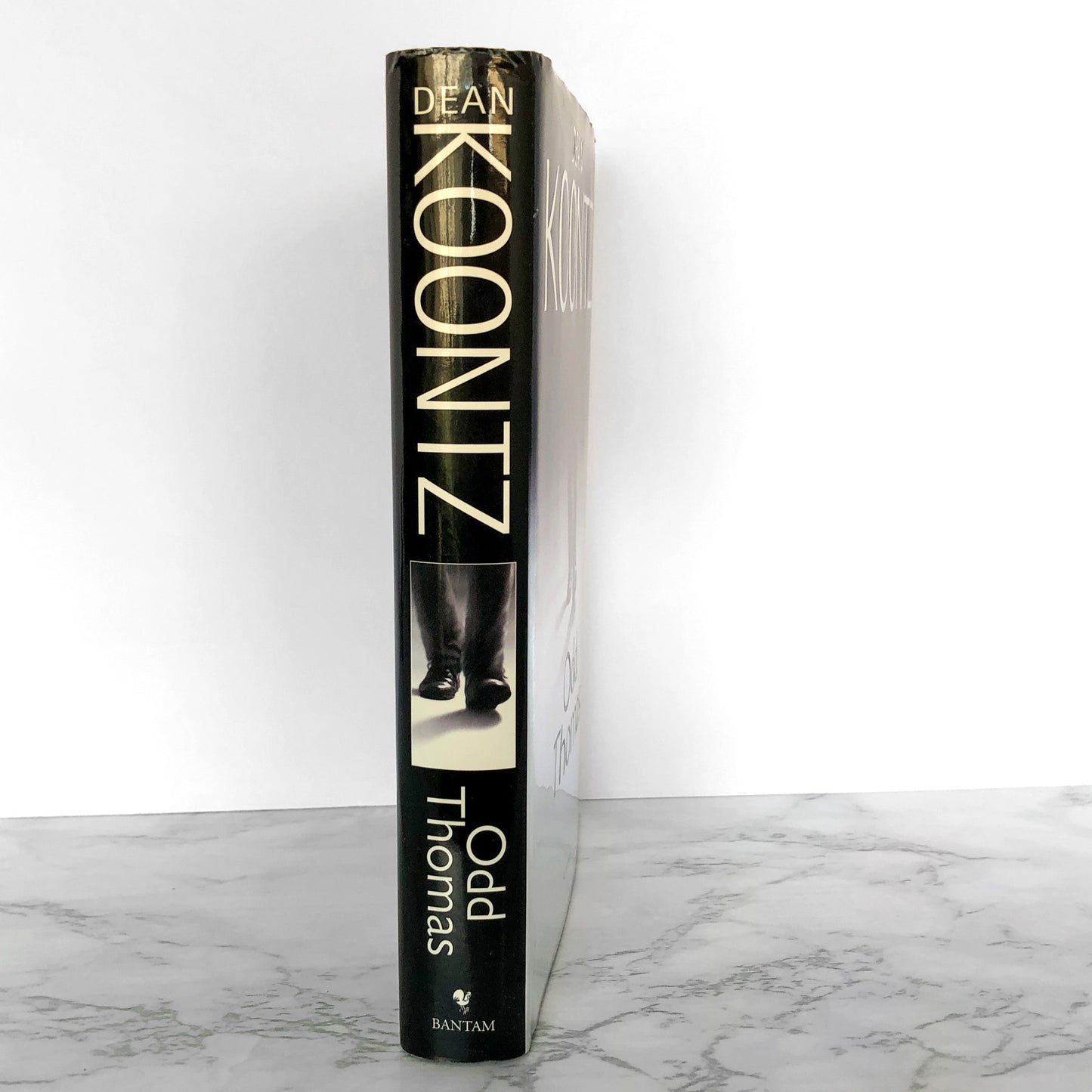 Odd Thomas by Dean Koontz [FIRST EDITION / FIRST PRINTING] 2003