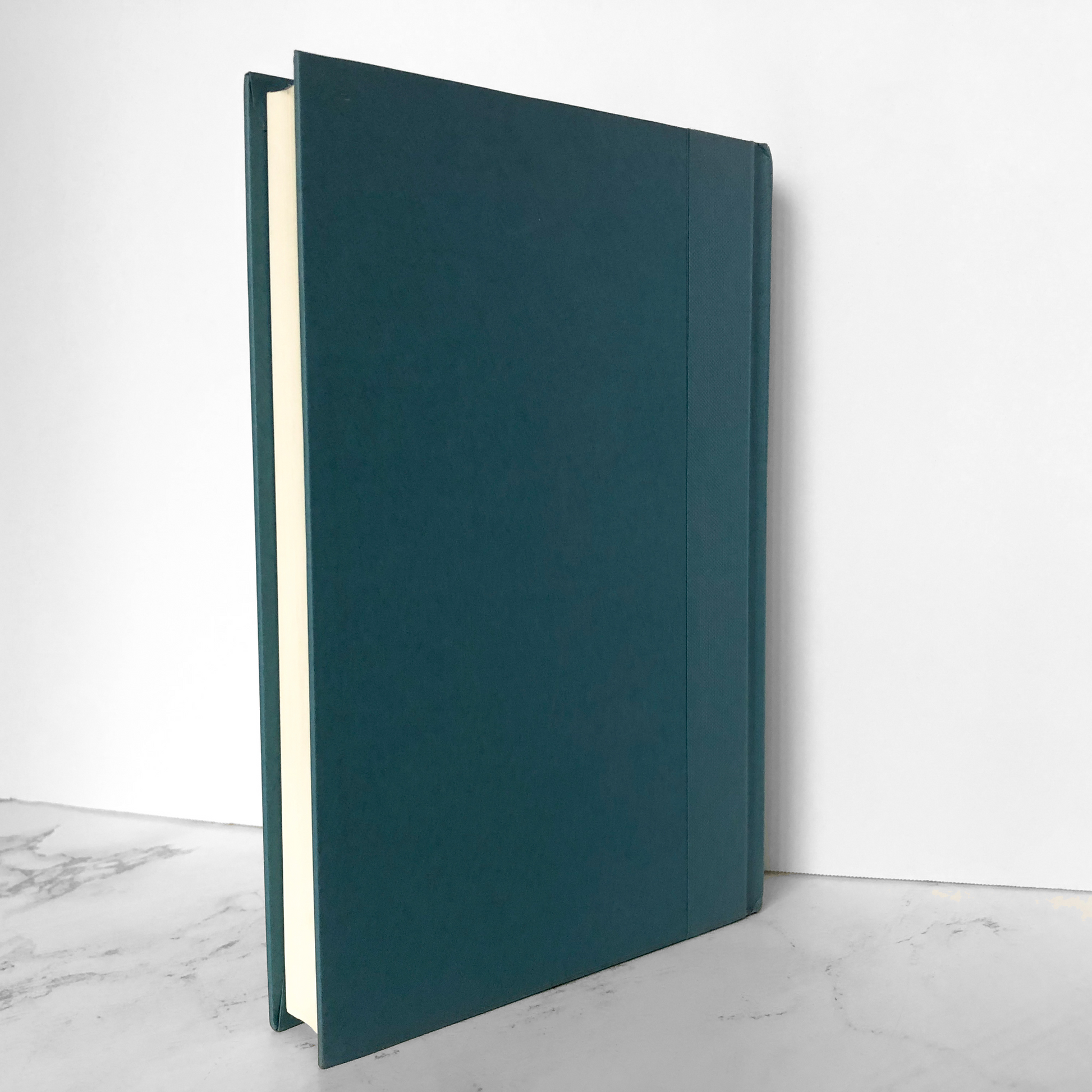 Outside Valentine by Liza Ward [FIRST EDITION / FIRST PRINTING] - Bookshop Apocalypse