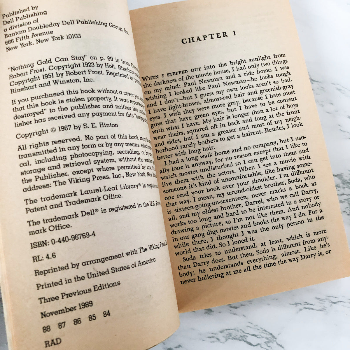 The Outsiders by S.E. Hinton [1989 PAPERBACK] - Bookshop Apocalypse