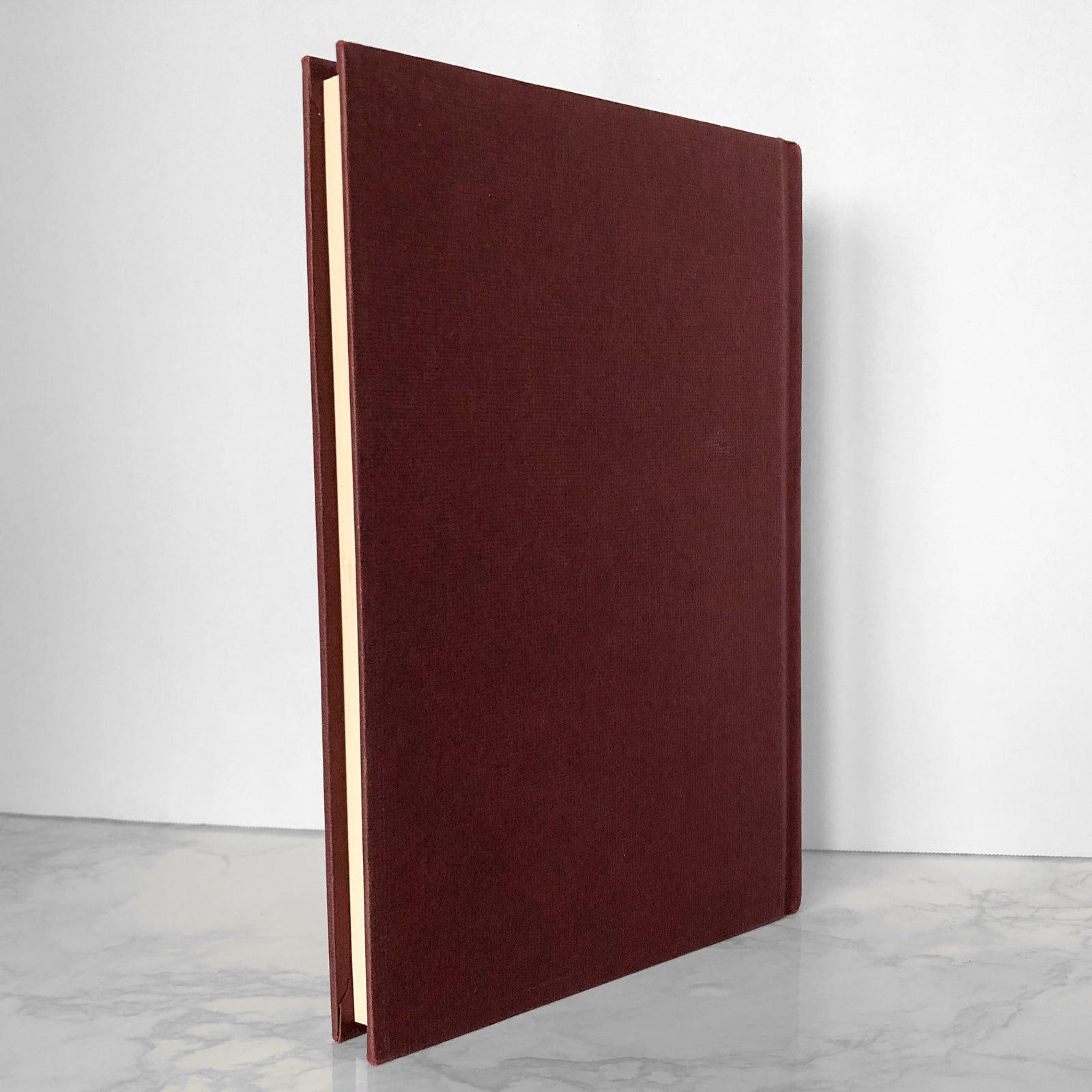 The Outsiders by S.E. Hinton [FIRST EDITION / 40th PRINTING] - Bookshop Apocalypse