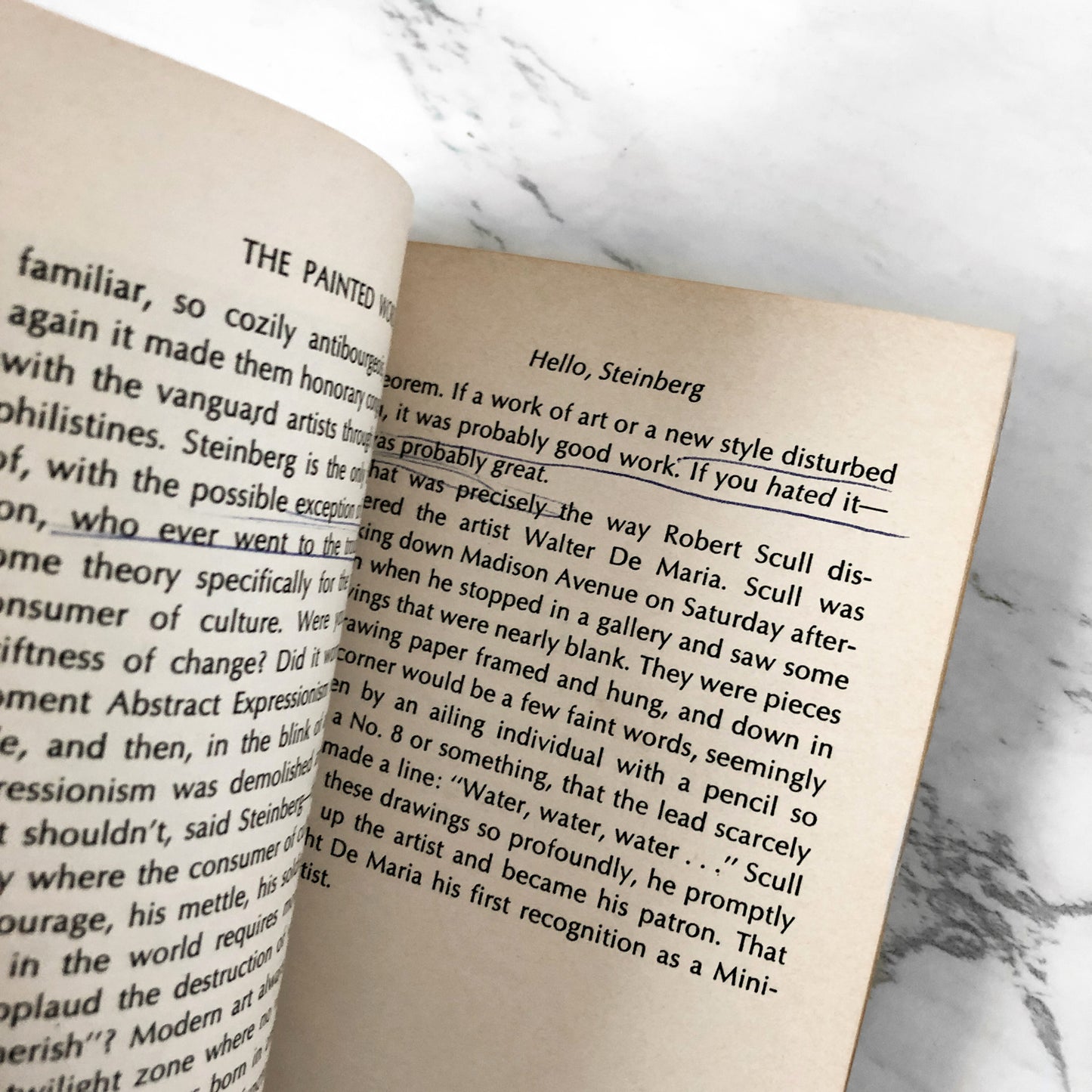 The Painted Word by Tom Wolfe [1980 PAPERBACK] - Bookshop Apocalypse