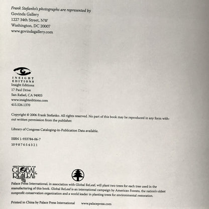 Patti Smith: American Artist by Frank Stefanko [FIRST EDITION] - Bookshop Apocalypse