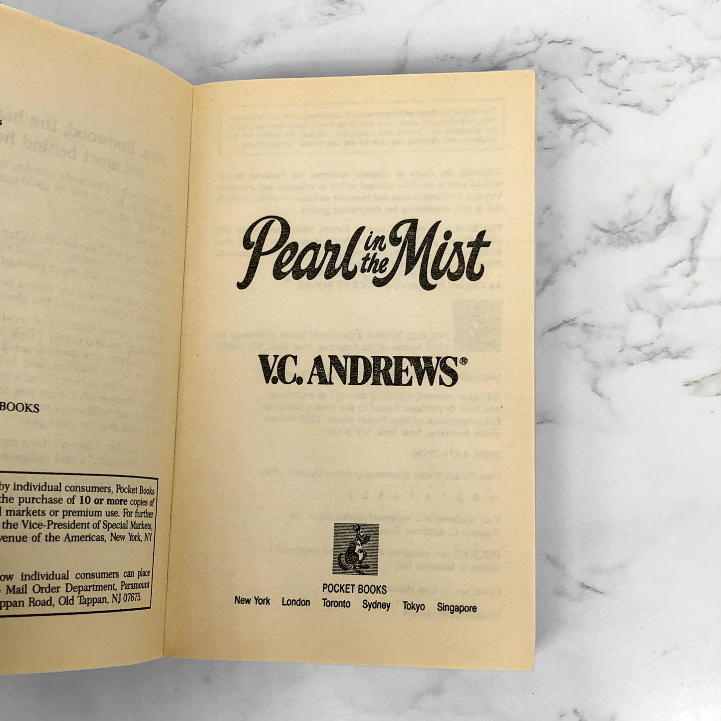 Pearl in the Mist by V.C. Andrews [FIRST PAPERBACK PRINTING] 1994