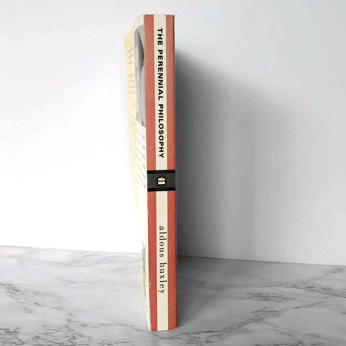 The Perennial Philosophy by Aldous Huxley [TRADE PAPERBACK] 2004