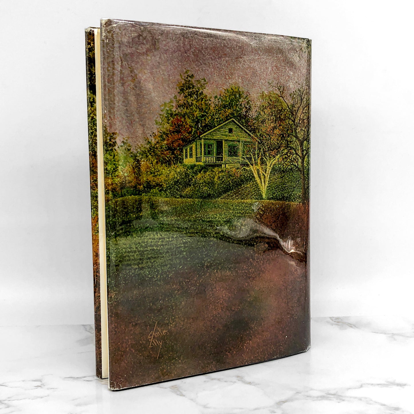 Philip Hall Likes Me. I Reckon Maybe by Bette Greene [FIRST EDITION] 1974