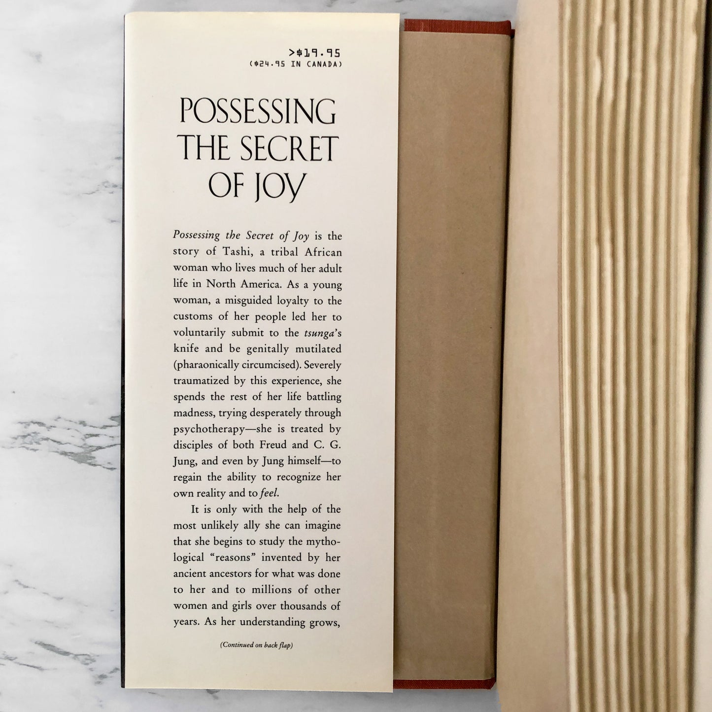 Possessing the Secret of Joy by Alice Walker [FIRST EDITION / FIRST PRINTING]