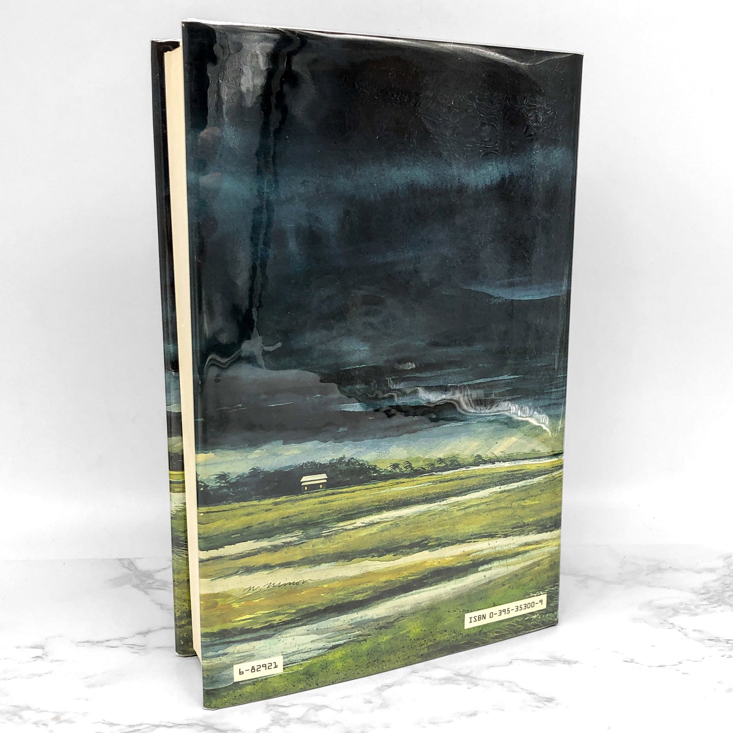 The Prince of Tides by Pat Conroy SIGNED! [FIRST EDITION • FIRST PRINTING] 1986