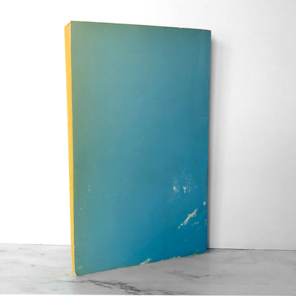 The Professor's Naughty Wife by Robert Viktor [1971 SLEAZE PAPERBACK]