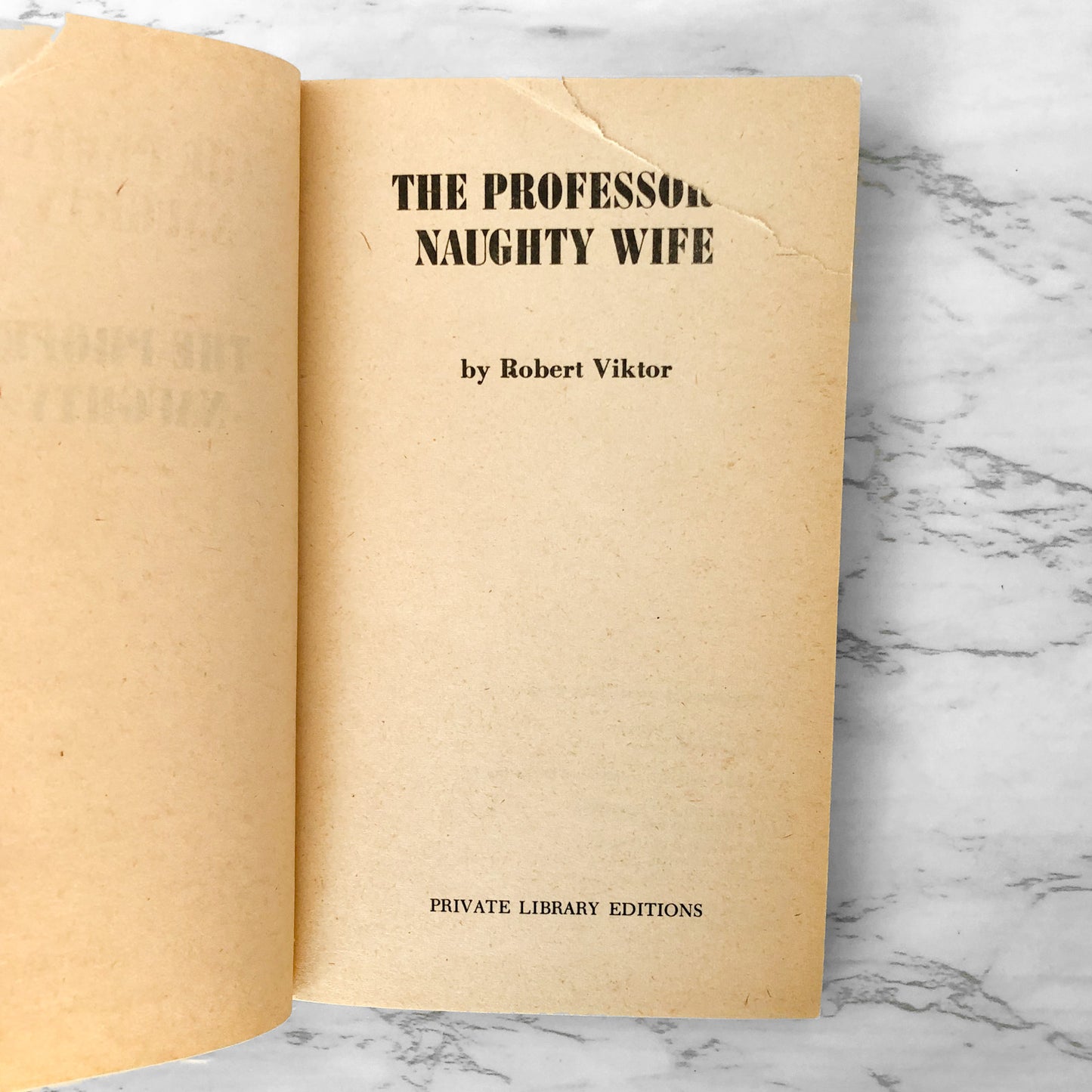 The Professor's Naughty Wife by Robert Viktor [1971 SLEAZE PAPERBACK]