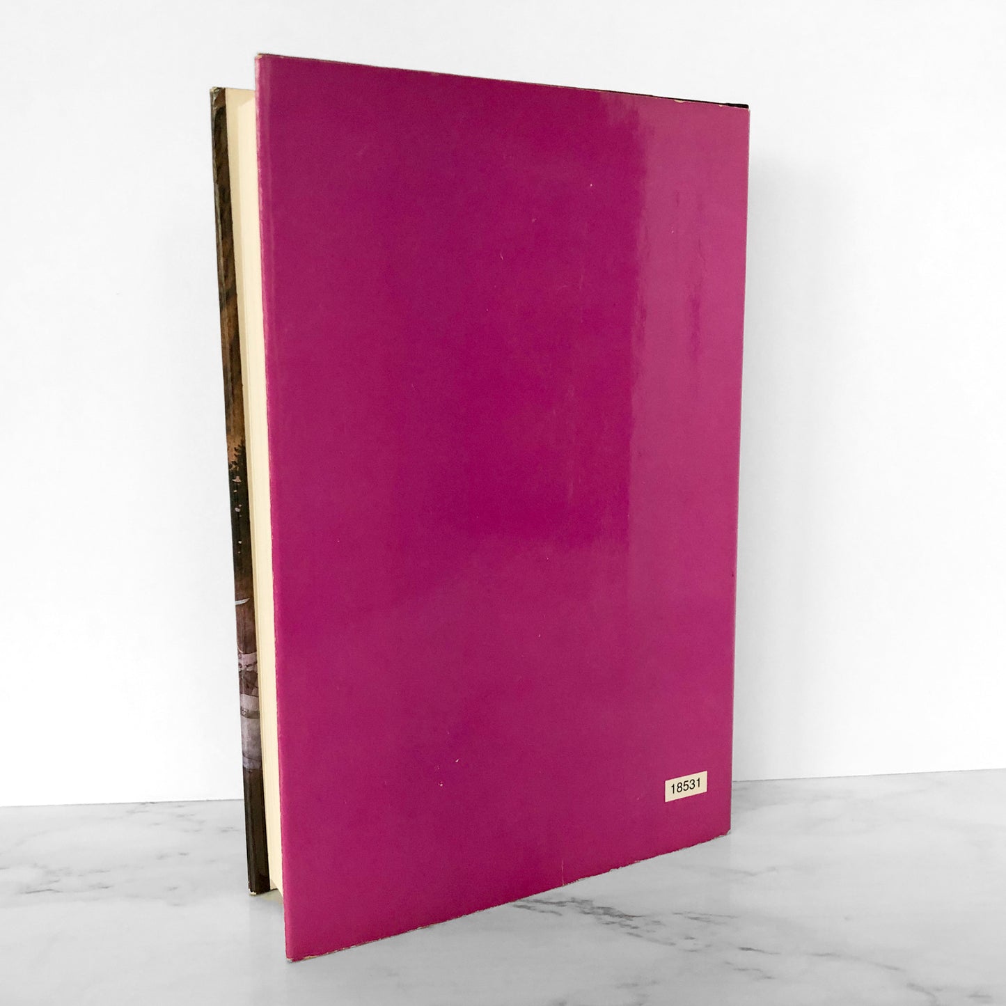 The Complete Prydain Chronicles by Lloyd Alexander [GUILD OMNIBUS / 1991]