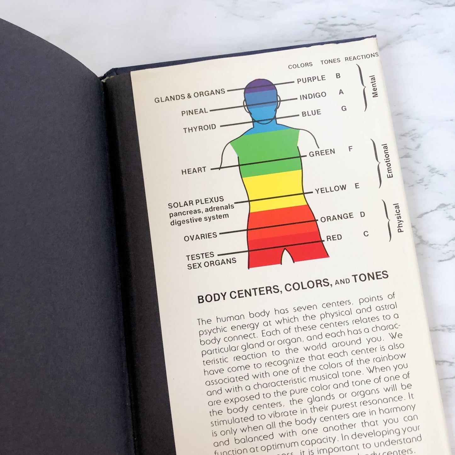 The Psychic is You: How to Develop Your Own Psychic Ability by Kathlyn Rhea [FIRST EDITION] - Bookshop Apocalypse