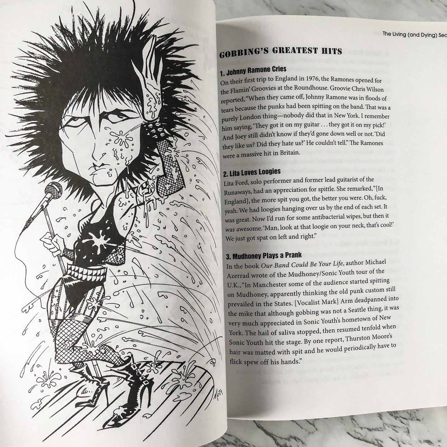 The Official Punk Rock Book of Lists by Amy Wallace & Handsome Dick Manitoba - Bookshop Apocalypse
