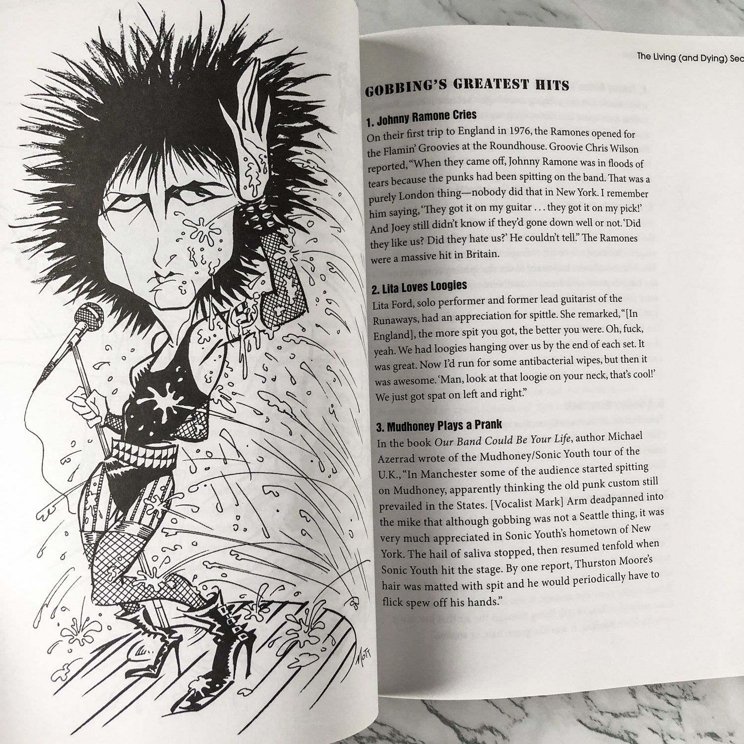 The Official Punk Rock Book of Lists by Amy Wallace & Handsome Dick Manitoba - Bookshop Apocalypse