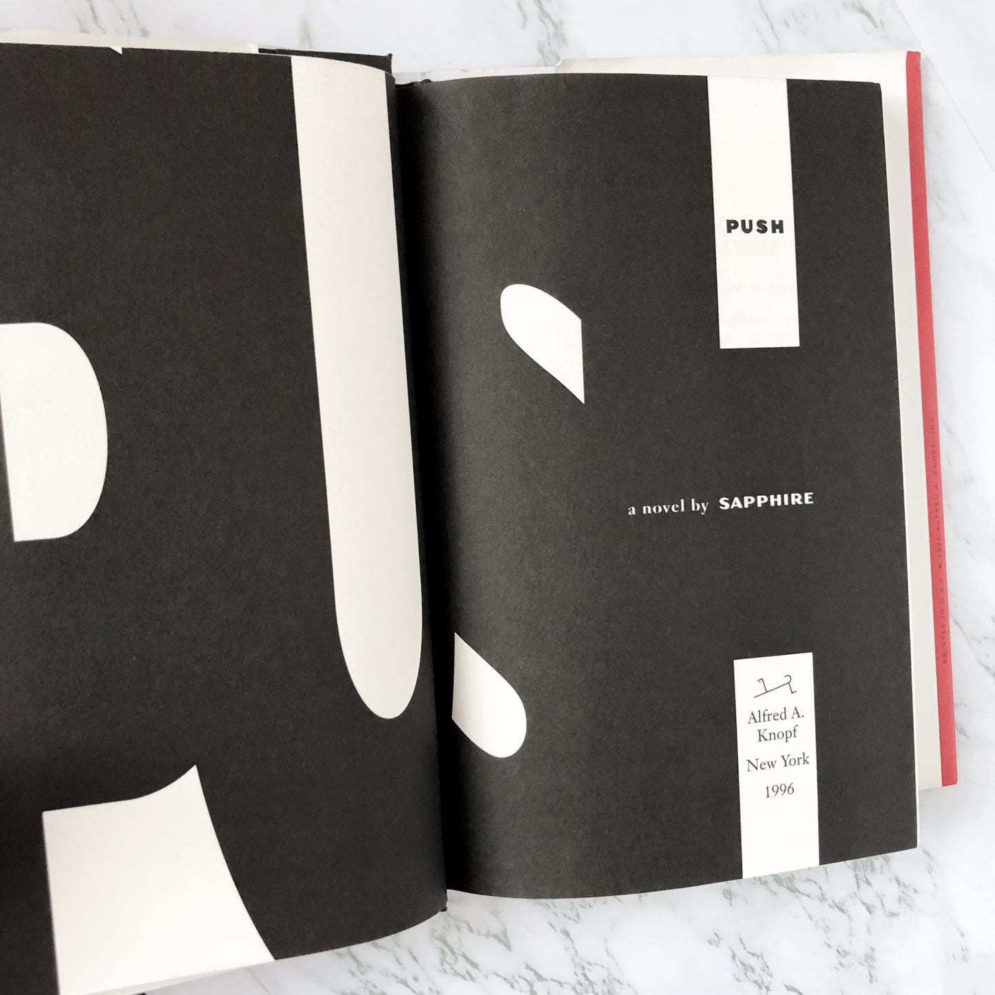 Push by Sapphire [FIRST EDITION / FIRST PRINTING] - Bookshop Apocalypse