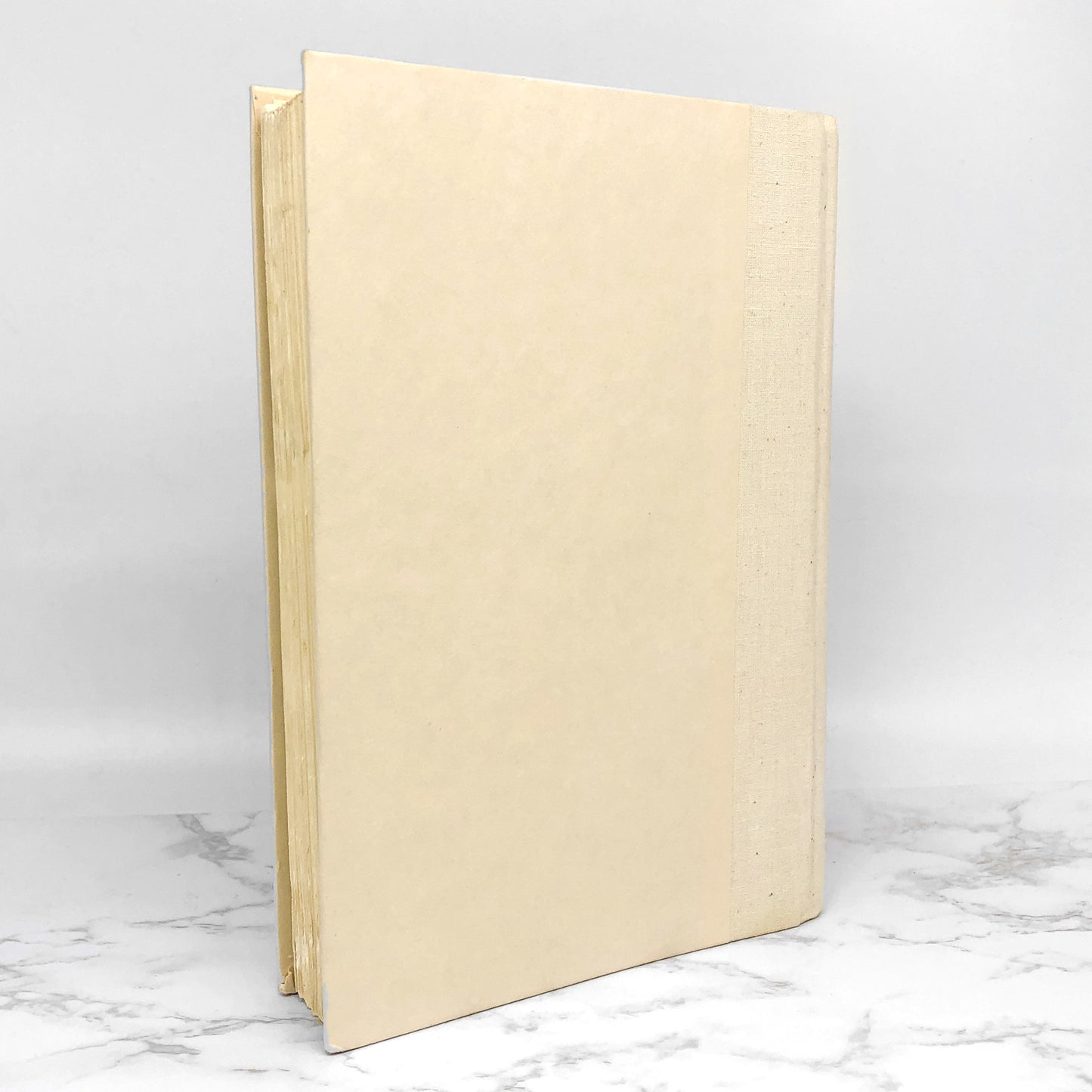 The Queen of the Damned by Anne Rice [FIRST EDITION] 6th Print  ❧ 1992