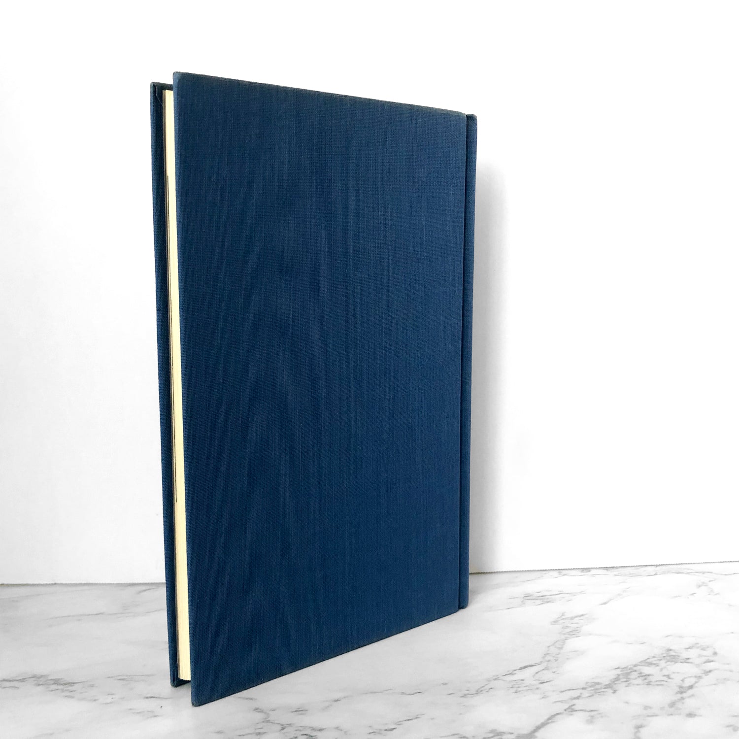 Queer by William S. Burroughs [FIRST EDITION] - Bookshop Apocalypse