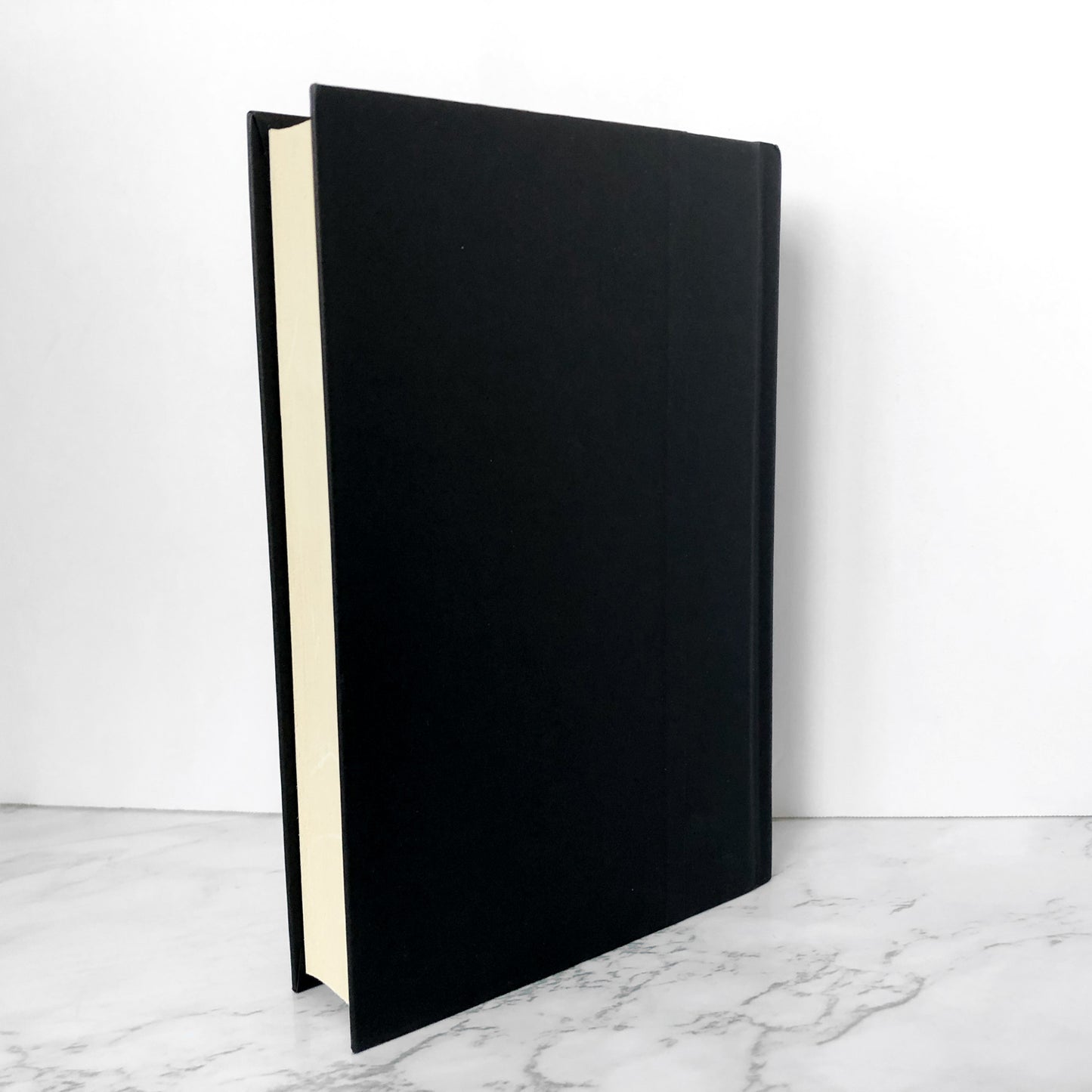 Railsea by China Miéville [FIRST EDITION] - Bookshop Apocalypse