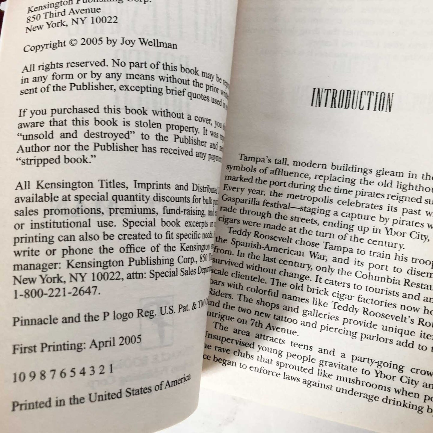 Rattlesnake Romeo by Joy Wellman [FIRST PRINTING] 2005