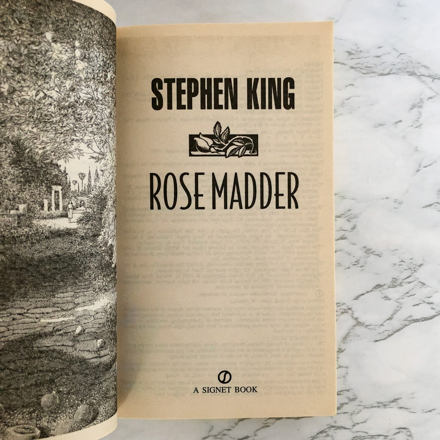 Rose Madder by Stephen King [FIRST PAPERBACK PRINTING / 1996]