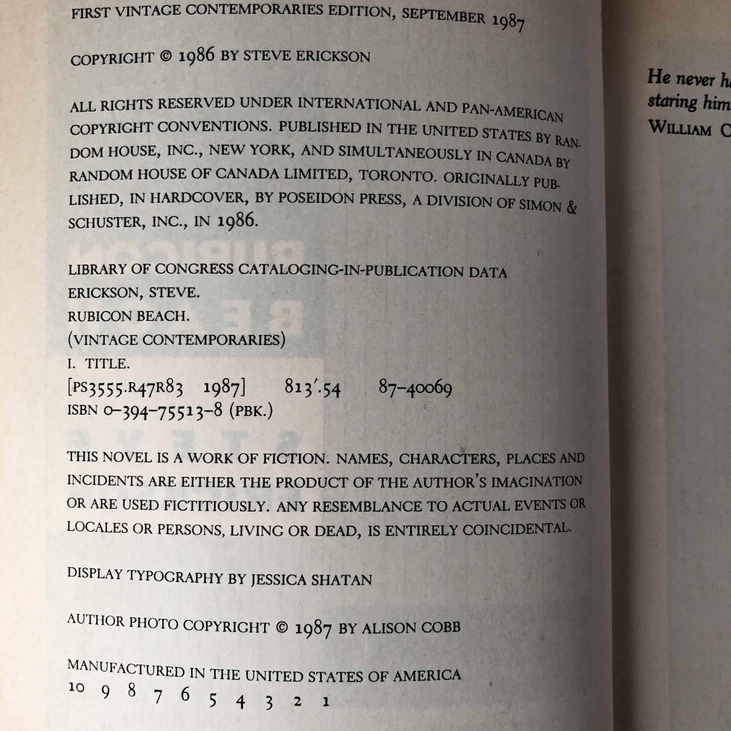 Rubicon Beach by Steve Erickson [FIRST PAPERBACK PRINTING] - Bookshop Apocalypse